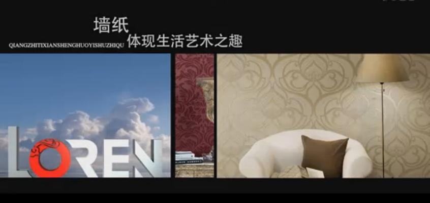 龙冉企业宣传片 